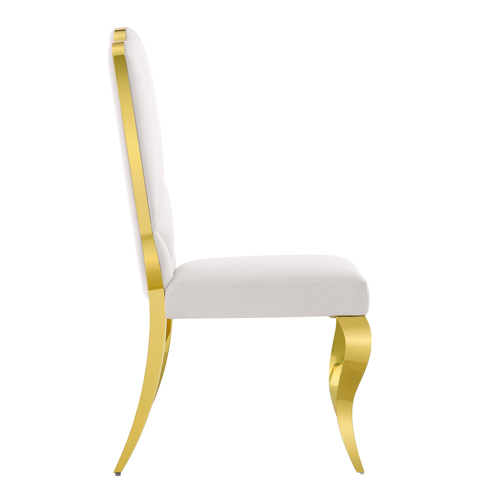 White velvet dining chairs | Cloud backrest design | Gold Metal legs | C142